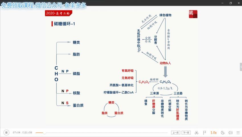 2020猿辅导张鹏生物寒假班（完结）（高清视频）