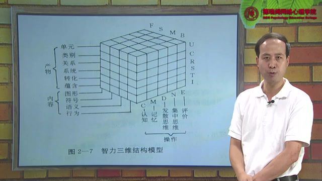 杨彦平博士后 少儿智力与智力测验 智商发展培育 课程12讲视频