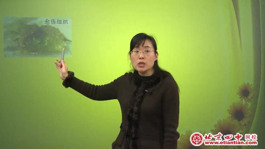 北京四中网校高二生物（高清视频）