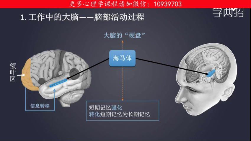 哈佛学霸的大脑开窍术：告别杂念、坏情绪，15天看见效率翻倍的自己！