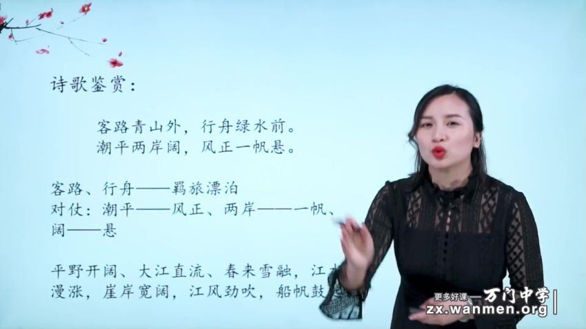 初中语文深度进阶诗词专题（上）黄鹤 43个视频