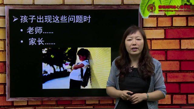 史瑞萍 儿童情商培养高清视频课程8讲