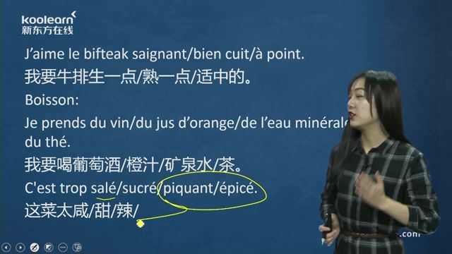 新东方日常法语口语交际（17课时）（1.31G标清视频）
