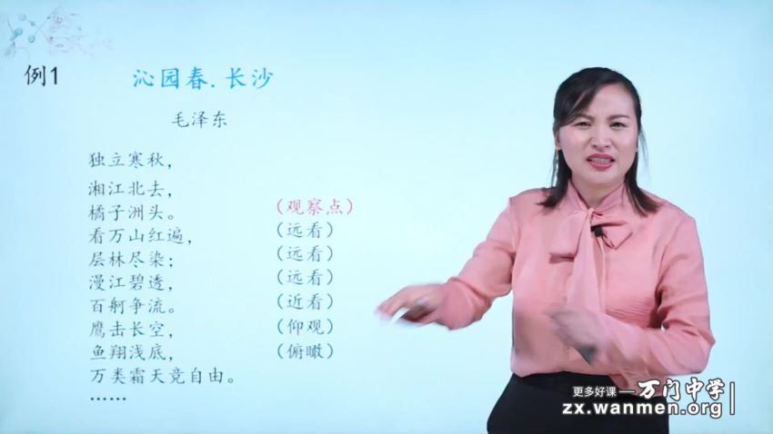 初中语文深度进阶写作专题 黄鹤 48个视频