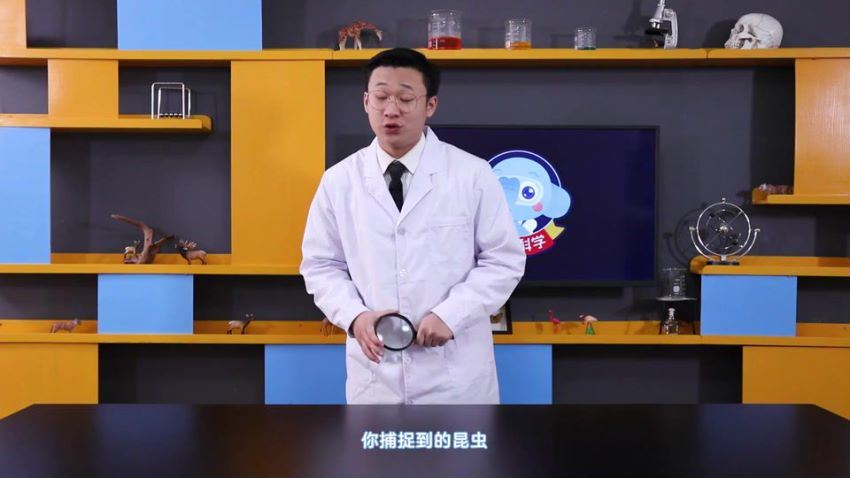 小象科学六年级下同步科学课（32节）（960×540视频）