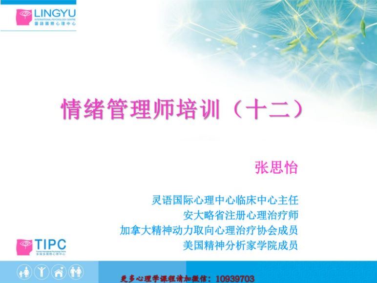 中加国际情绪管理师培训录音+课件资料