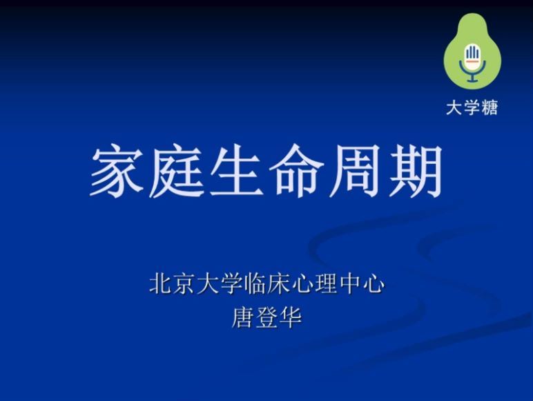 唐登华家庭治疗师长程系统培训项目微课十讲录音+课件