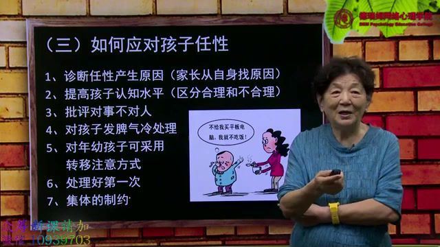 张梅玲教授 0-12岁儿童常见心理问题的教育辅导 13讲课程视频