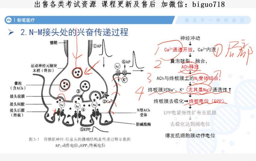 2021军队文职考：2021粉笔军队文职专业课：临床医学岗