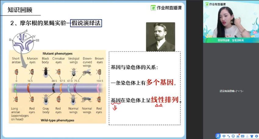 备考2021作业帮2020年秋季班高三杨雪生物985班（1080超清视频）