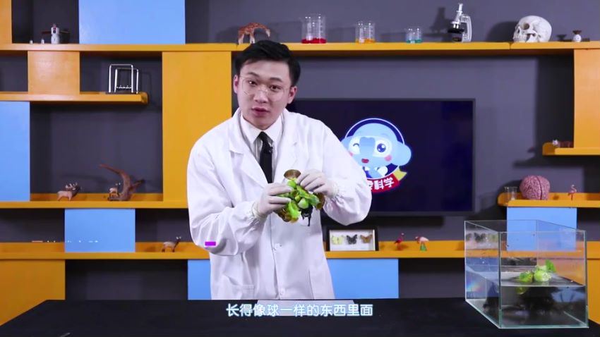 小象科学三年级上同步科学课（59节）（960×540视频）