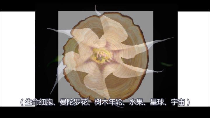 严虎彩绘曼陀罗 理论+实践绘画心理视频课程26讲情绪调节自我成长